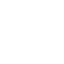 icons8-dolphin-64 (1)