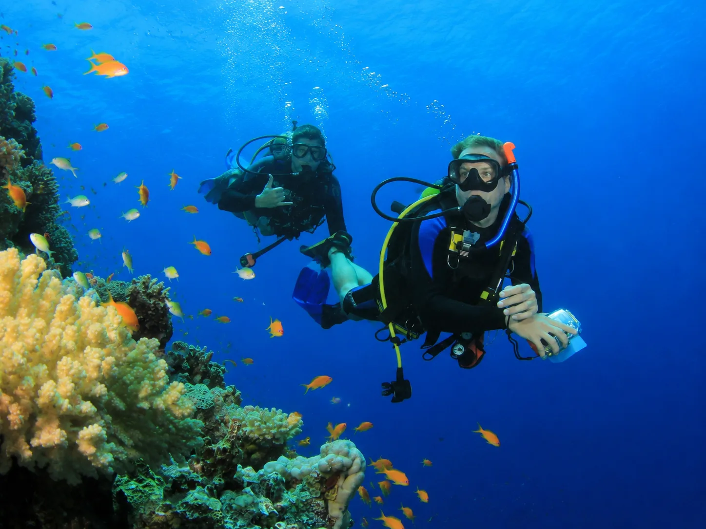 Dolphin House Snorkeling & 1 Diving Stop, Hurghada 5