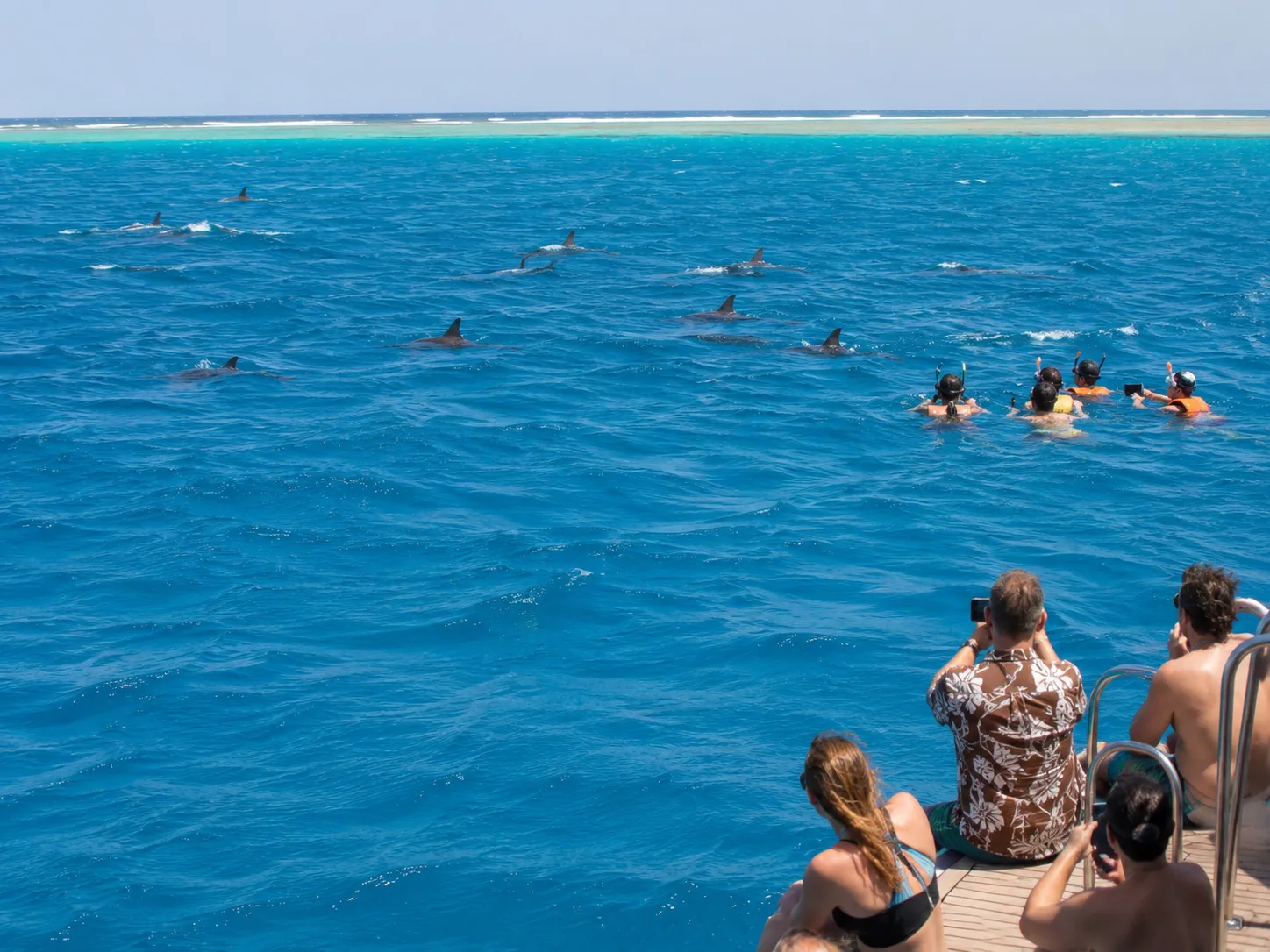 Dolphin House Snorkeling & 1 Diving Stop, Hurghada 6
