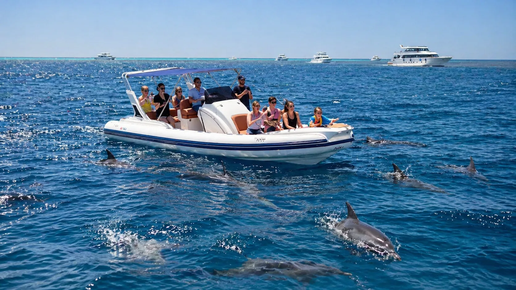 Dolphin House by Speedboat 3