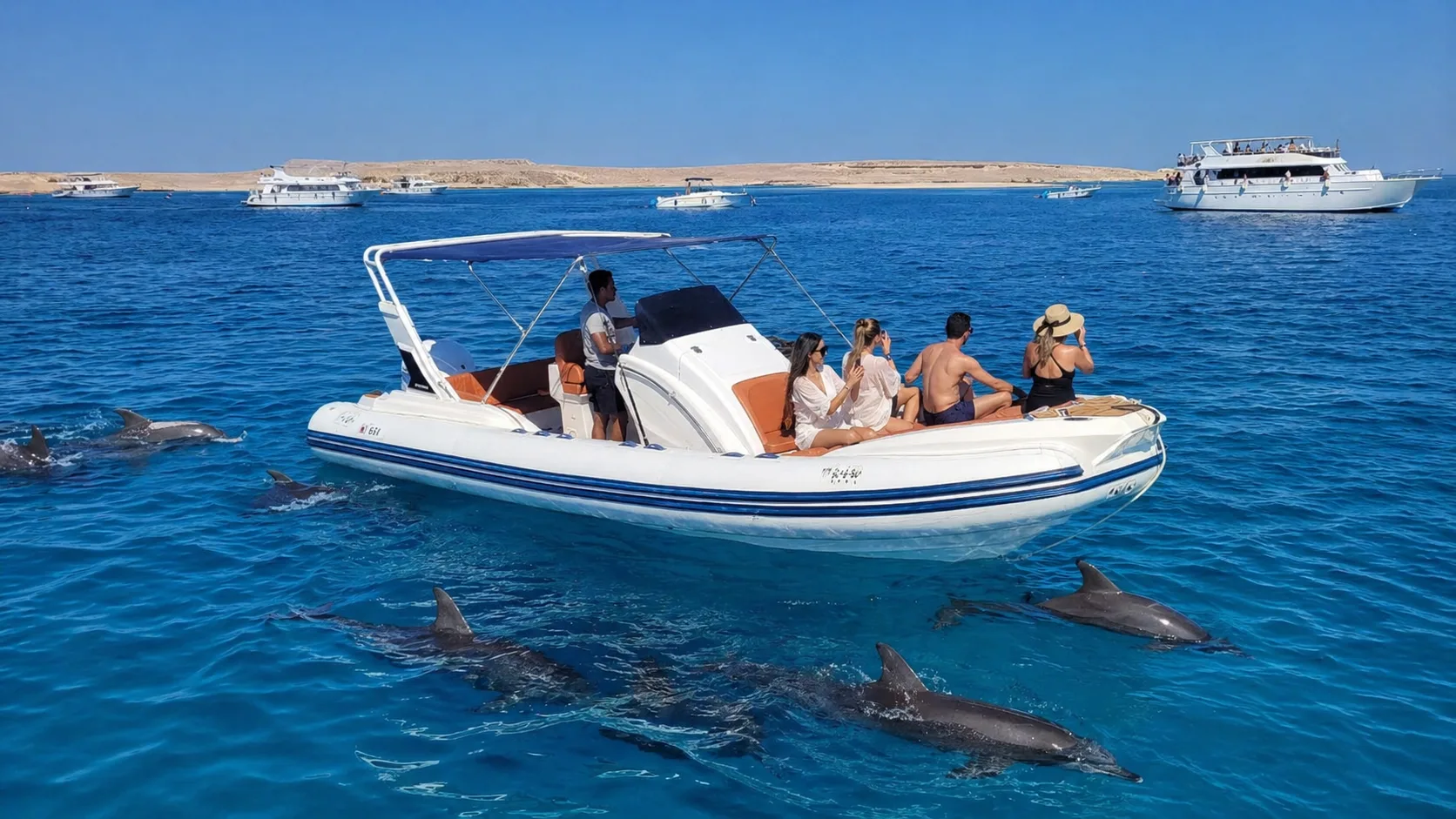 Dolphin House by Speedboat 4