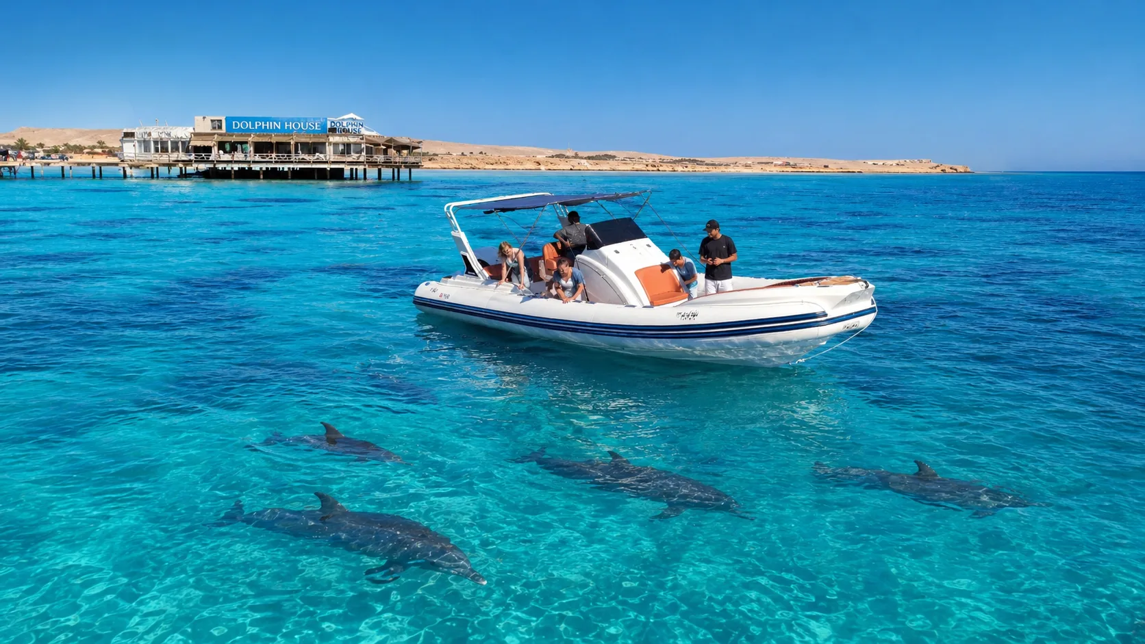 Dolphin House by Speedboat 6