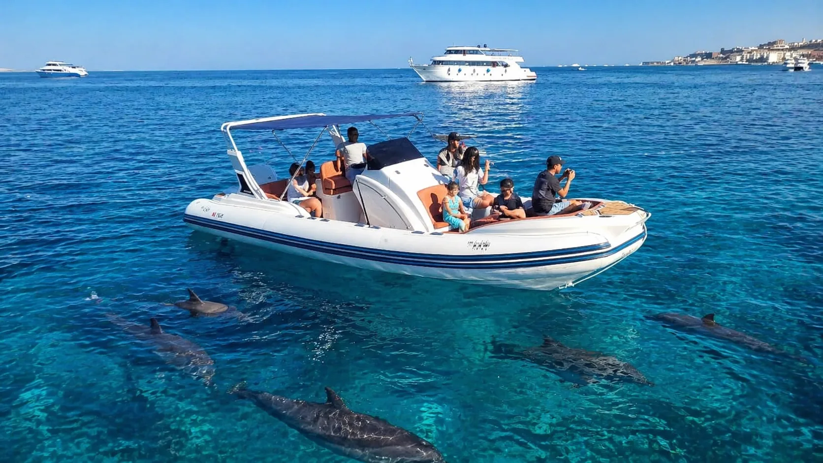 Dolphin House by Speedboat 8