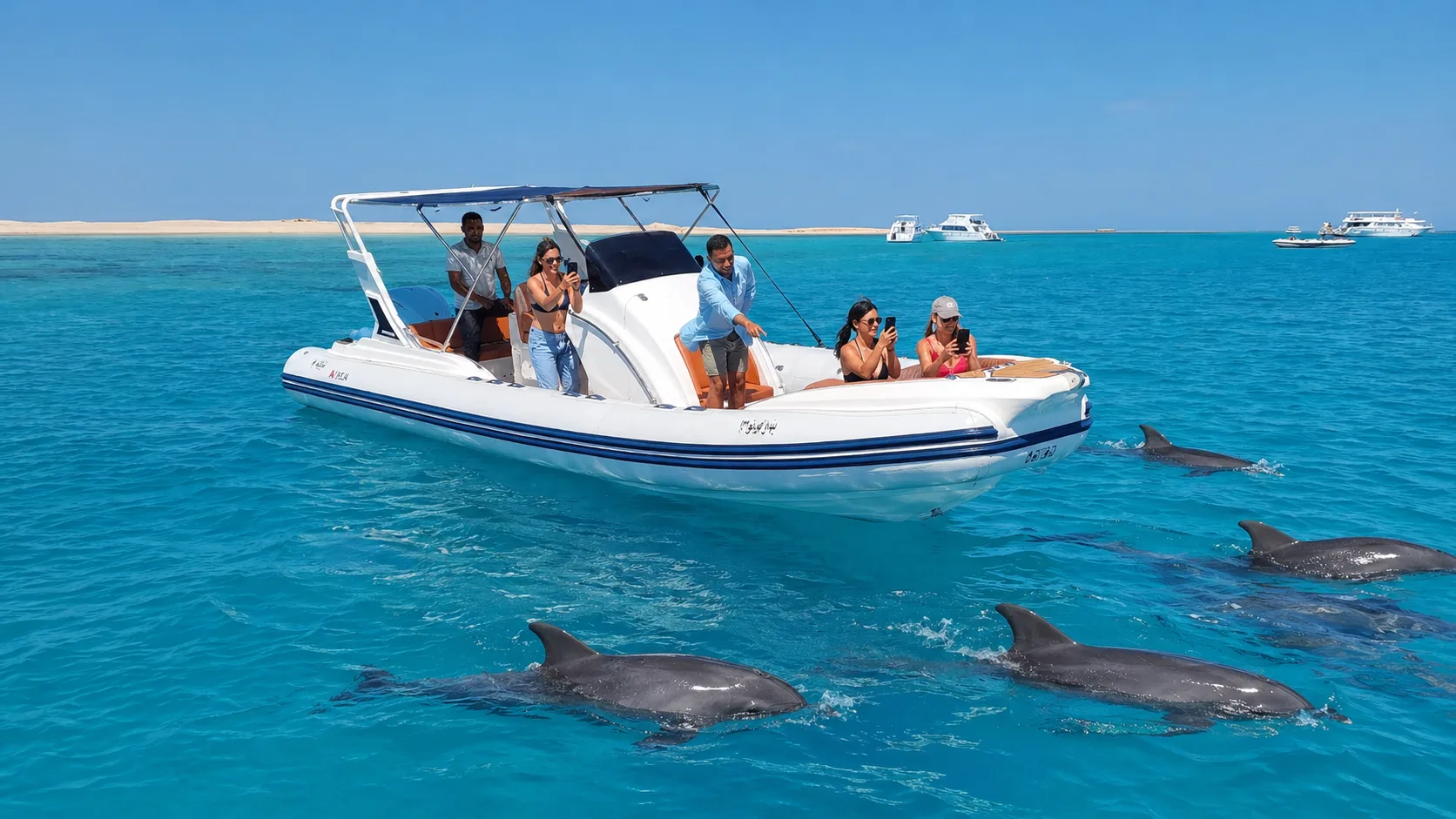 Dolphin House by Speedboat 9