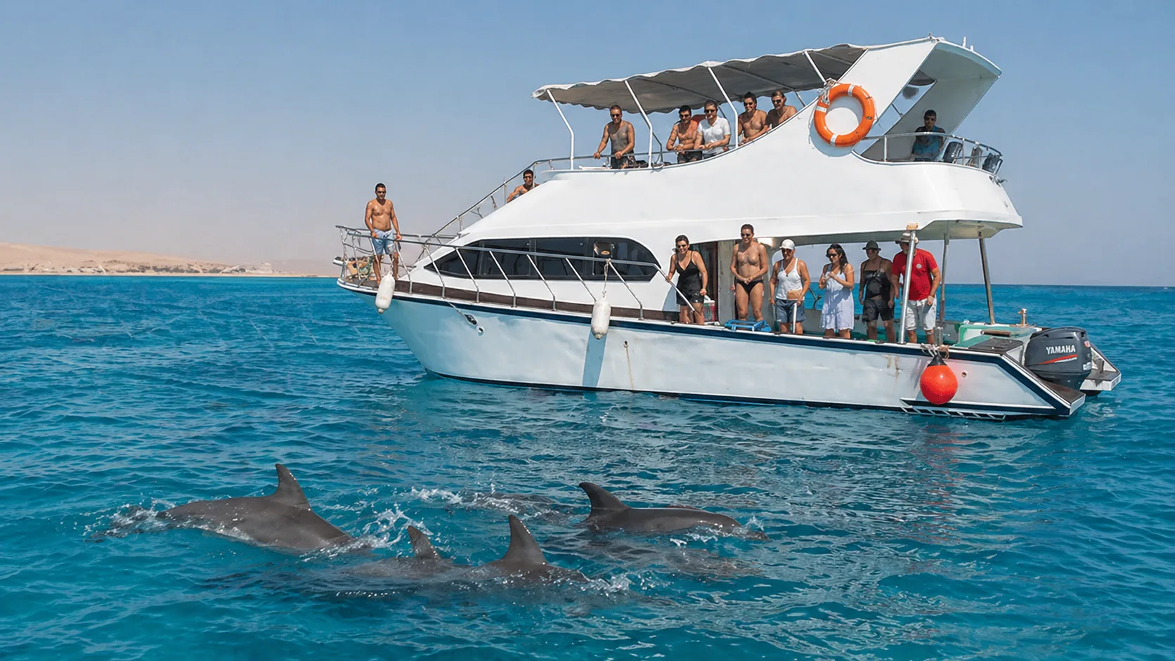 Private Boat to Dolphin House