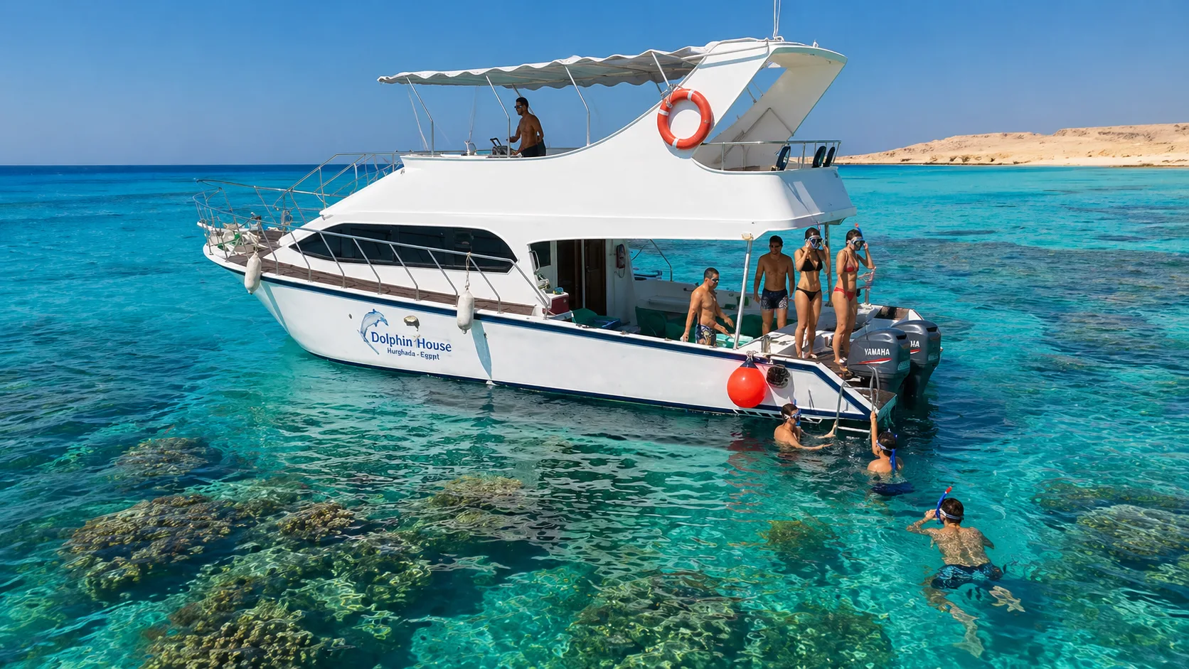Private Boat to Dolphin House 2