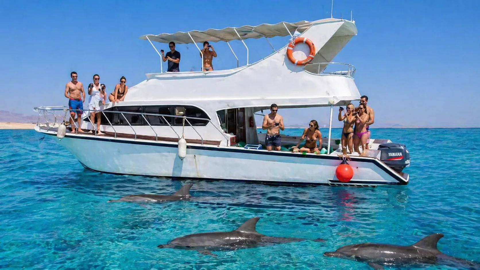 Private Boat to Dolphin House 5