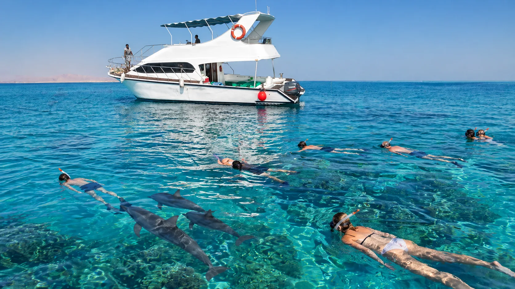 Private Boat to Dolphin House 9