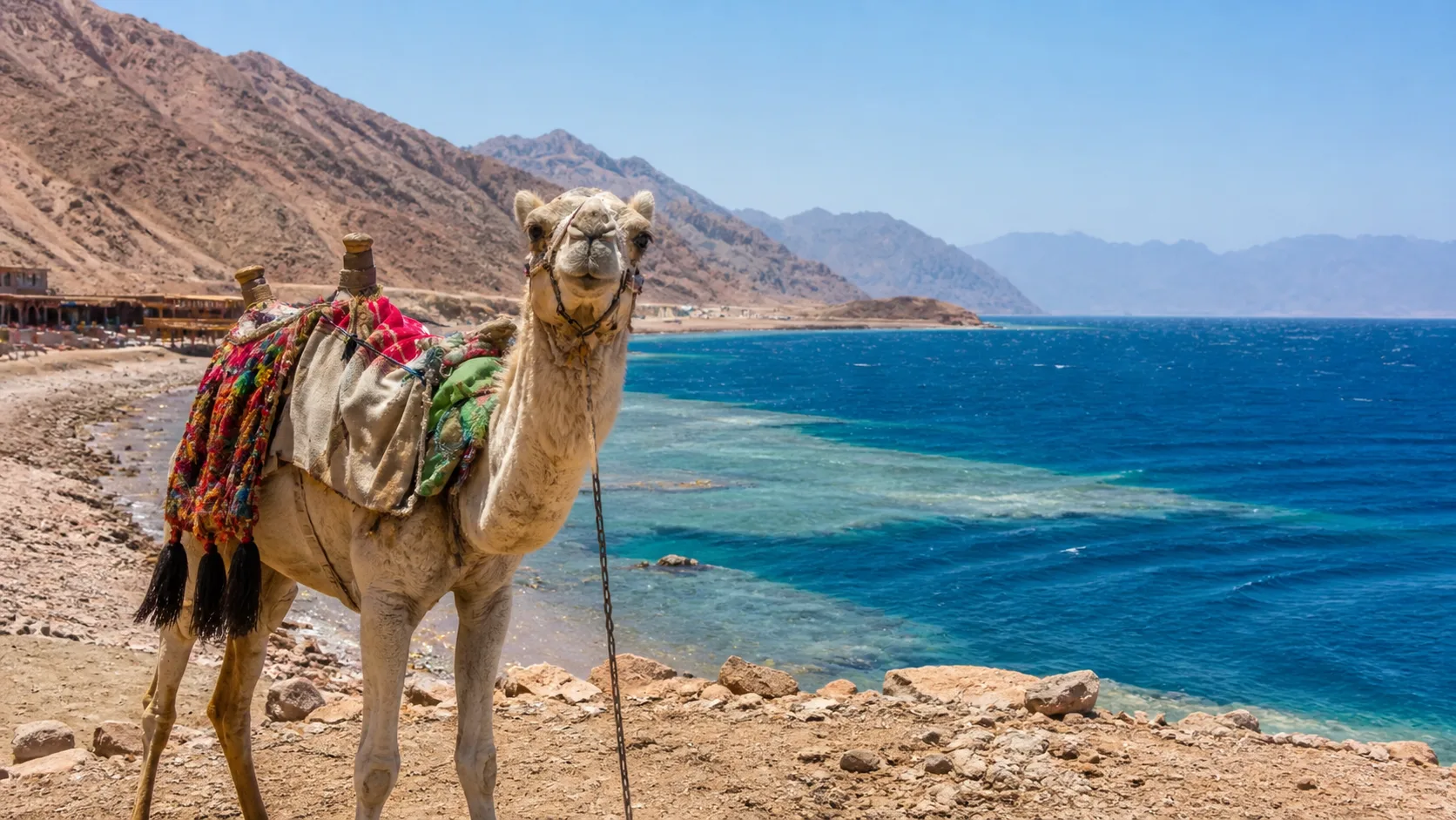 Blue Hole & Dahab Day Trip 8