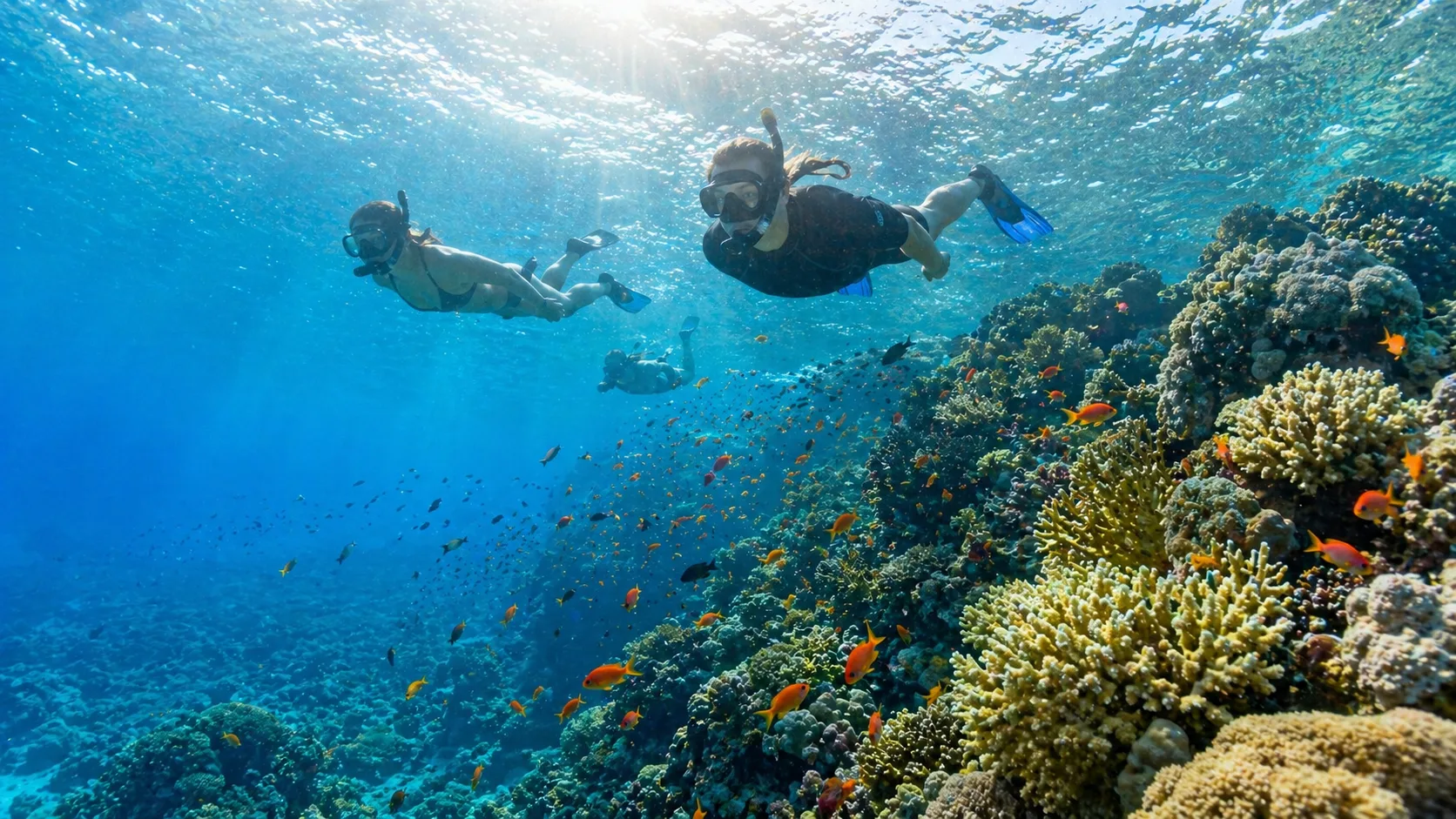Ras Mohamed National Park 7