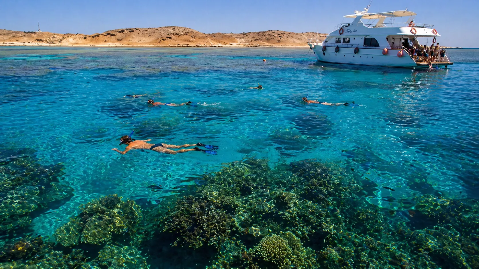 Tiran Island Snorkeling 8