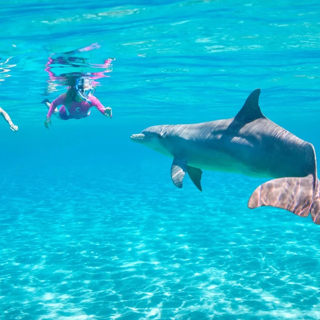 Hurghada Dolphin House Sea Trip