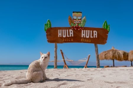 Egypt Snorkeling - Hula Hula Island