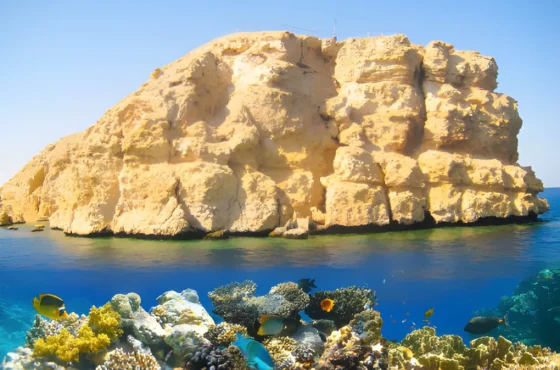 Ras Mohamed White Island Sharm El Sheikh Luxury Yacht Trip with Snorkeling