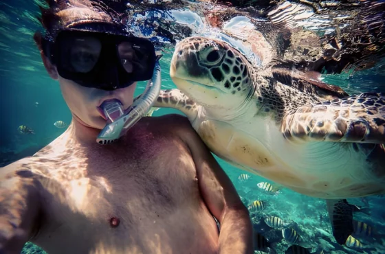 Marsa Mubarak Snorkeling Trip with Turtles and Coral Reefs
