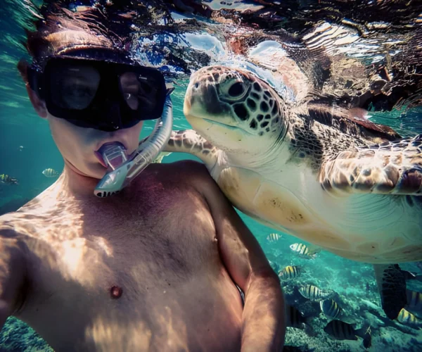 Marsa Mubarak Snorkeling Trip with Turtles and Coral Reefs