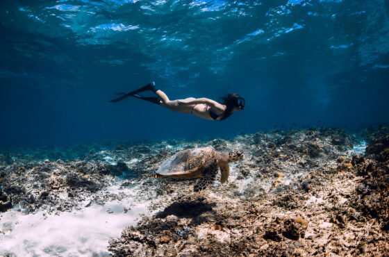Marsa Mubarak Marsa Alam Trip with One Dive and One Snorkeling Stop
