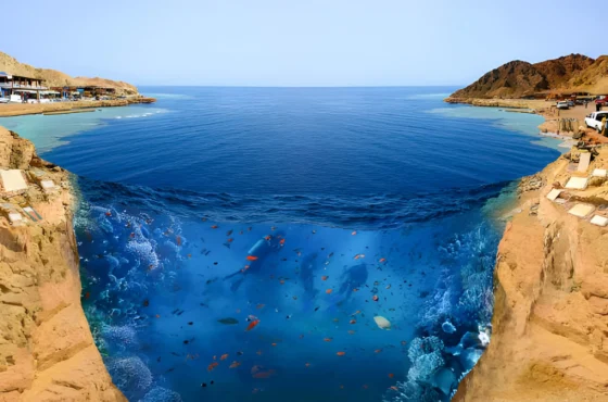 Ras Mohamed Sharm El Sheikh Boat Trip with Diving and Snorkeling