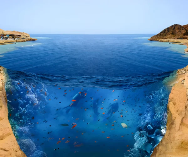 Ras Mohamed Sharm El Sheikh Boat Trip with Diving and Snorkeling